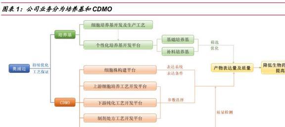 完美体育国产培养基龙头奥浦迈：培养基+CDMO双轮驱动业绩高增长(图2)